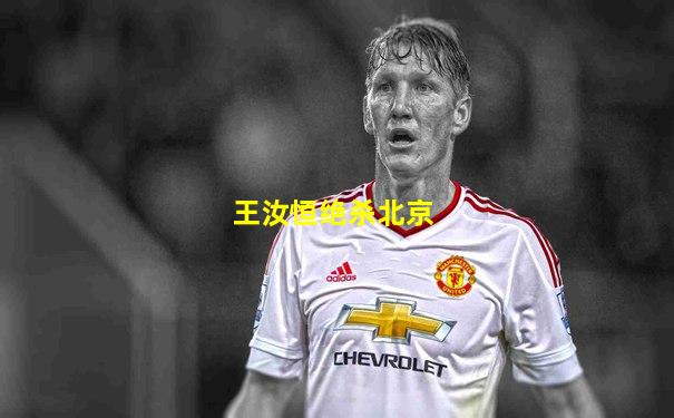 王汝恒绝杀北京