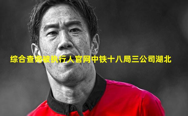 综合查询被执行人官网中铁十八局三公司湖北