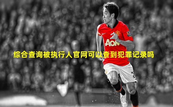综合查询被执行人官网可以查到犯罪记录吗